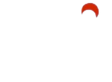 Reyan Impex logo